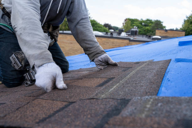 Best Metal Roofing Contractor  in Newton, MS