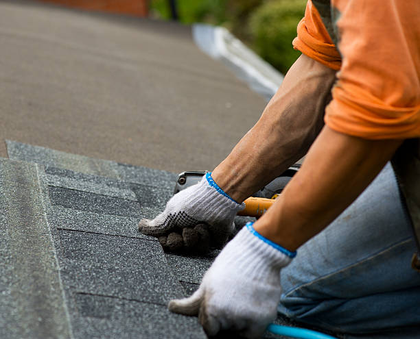 Best Storm Damage Roof Repair  in Newton, MS