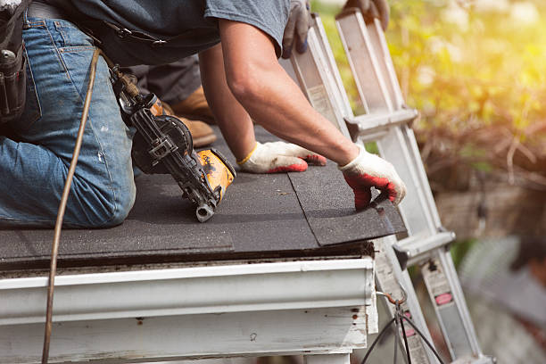 Best Roof Gutter Cleaning  in Newton, MS