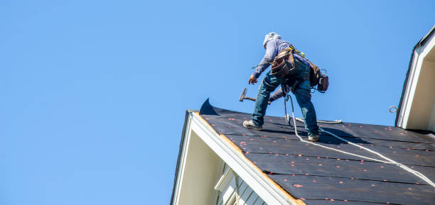 Roof Gutter Cleaning in Newton, MS